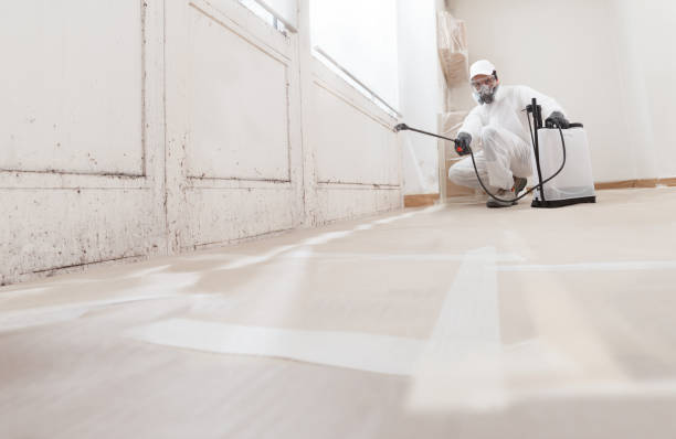 24/7 Emergency Mold Remediation experts in Quantico, VA