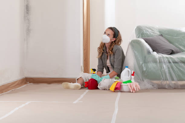 Reliable Mold Remediation contractor in Quantico, VA by Cheap Mold Removal